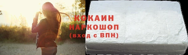 spice Гусиноозёрск