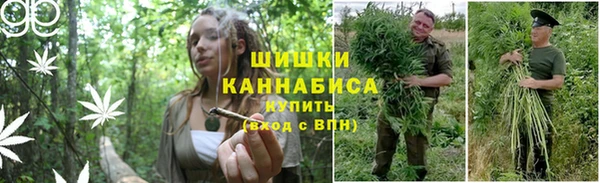 spice Гусиноозёрск