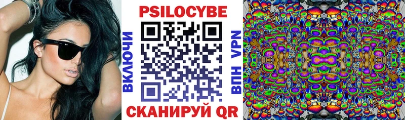 Купить закладки  Салаир  Галлюциногенные грибы прущие грибы 