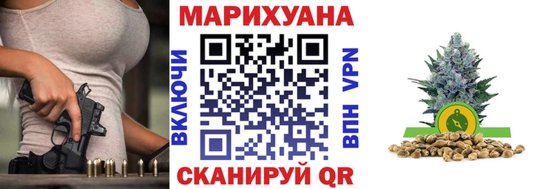 Купить  Салаир  Бошки Шишки OG Kush 